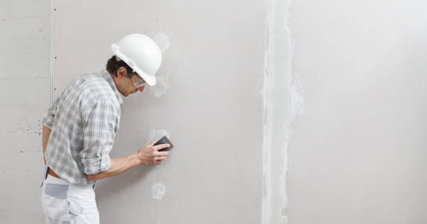 Best Comprehensive Air Testing for Mold Contaminants  in Tipton, IN