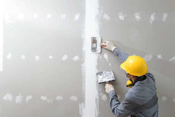 Best Residential Mold Inspection & Testing  in Tipton, IN