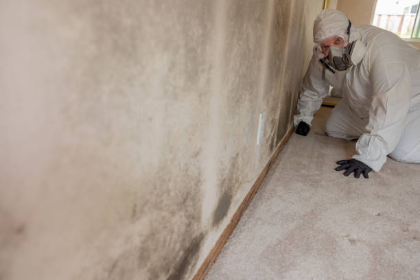 Best Indoor Air Quality Assessment  in Tipton, IN
