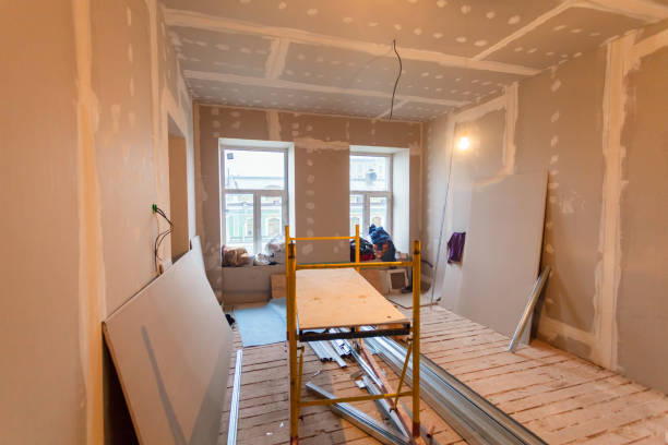 Reliable Tipton, IN Mold Removal Solutions