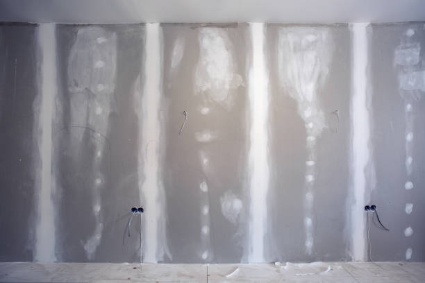  Tipton, IN Mold Removal Pros