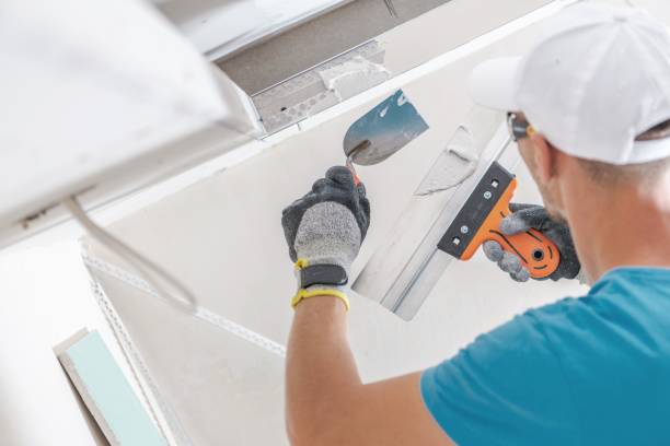 Mold Odor Removal Services in Tipton, IN